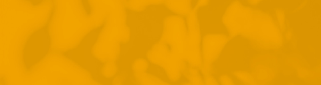 productos de especialidad banner
