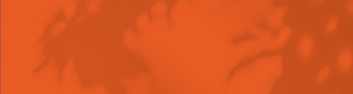 Los Esenciales banner