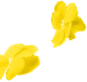 flowers-deco