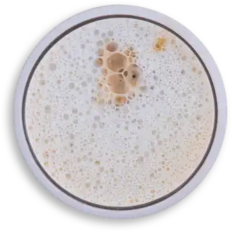 Mixología Cappuccino Seco