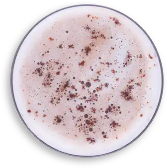 Mixología Mocha Scotch