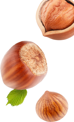 Ingrediente avellana latte