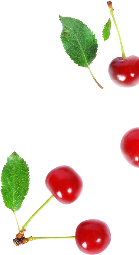 Ingrediente marrakesh cereza