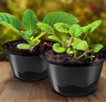 Mini macetas