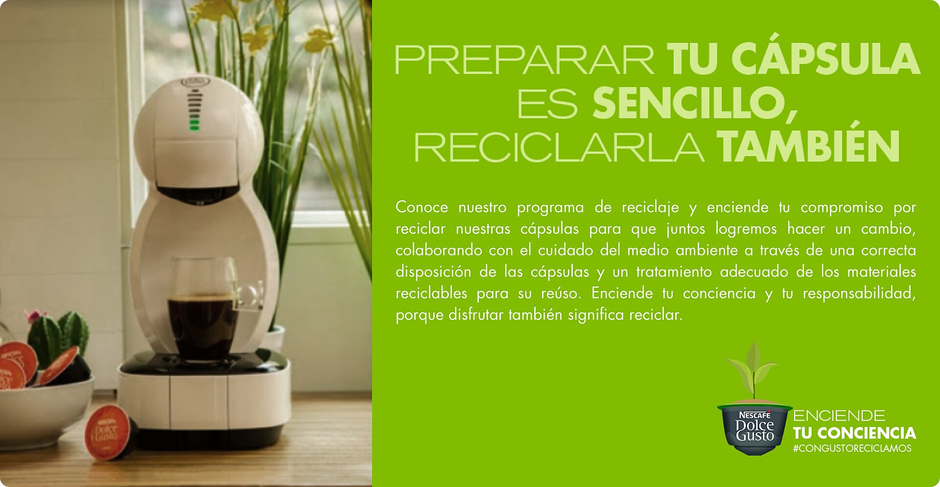 Conoce nuestro programa de reciclaje