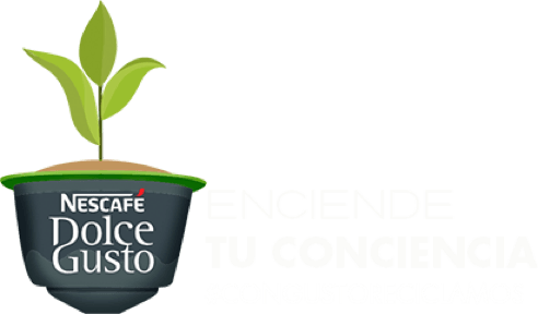 Enciende tu conciencia