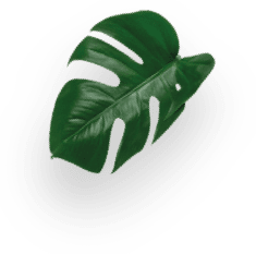 Starbucks® Variety Pack decoration Image